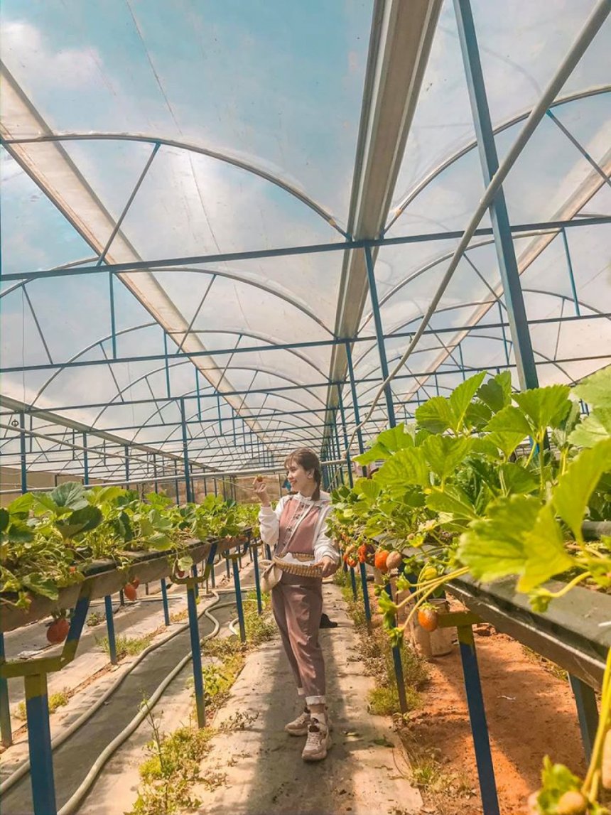 Du lich su kien Viet Nam VNEvent