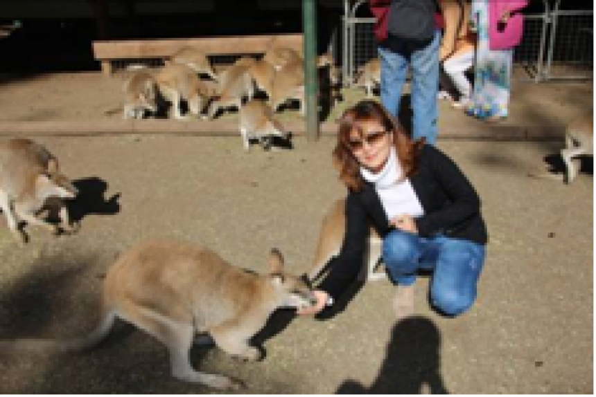 Du lich su kien Viet Nam VNEvent