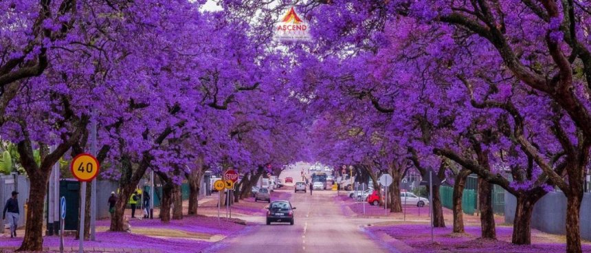 Du lich su kien Viet Nam VNEvent