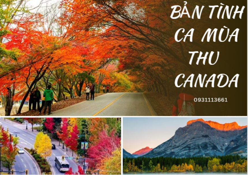 Du lịch sự kiện Việt Nam event