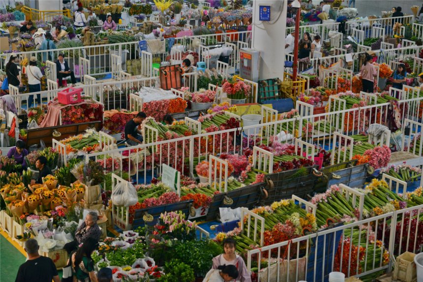 Du lich su kien Viet Nam VNEvent