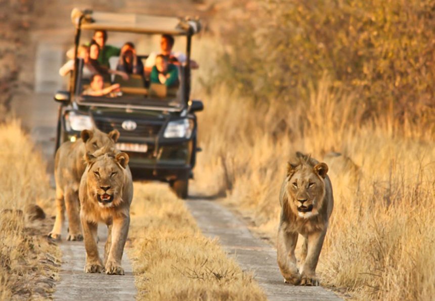 Du lich su kien Viet Nam VNEvent