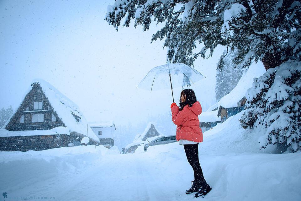 Du lịch sự kiện Việt Nam event