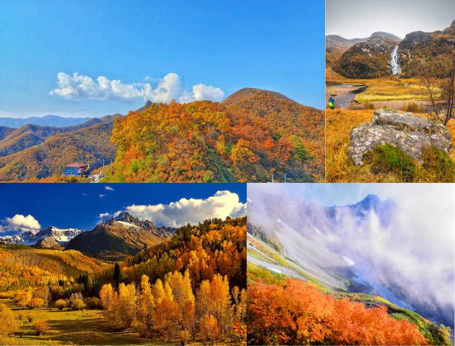 Khung cảnh mùa thu tại Blue Mountains, với sắc lá vàng rực rỡ tạo nên bức tranh thiên nhiên tuyệt đẹp. (Nguồn: Sưu tầm)